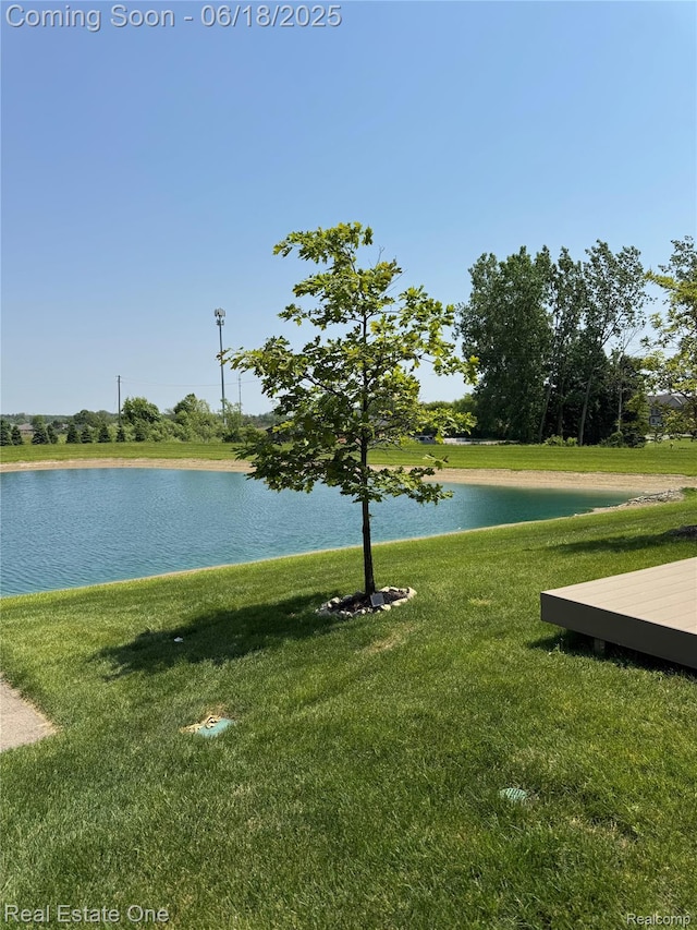 8757 Grove St, Washington, MI 48094 - water view
