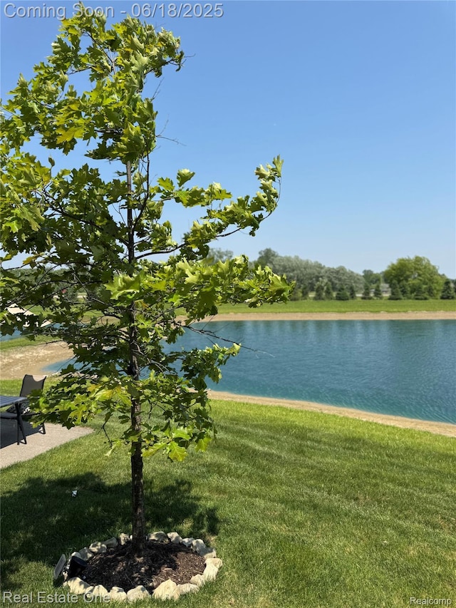 8757 Grove St, Washington, MI 48094 - water view