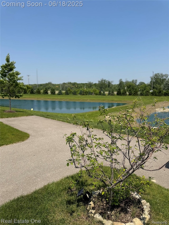 8757 Grove St, Washington, MI 48094 - water view