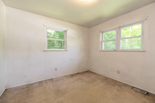 10229 N 22nd St, Plainwell, MI 49080 - carpeted empty room with healthy amount of natural light
