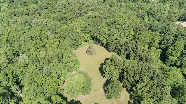 10229 N 22nd St, Plainwell, MI 49080 - aerial view of property's location featuring a forest