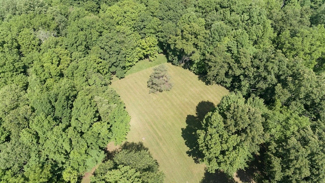 10229 N 22nd St, Plainwell, MI 49080 - aerial view of property and surrounding area