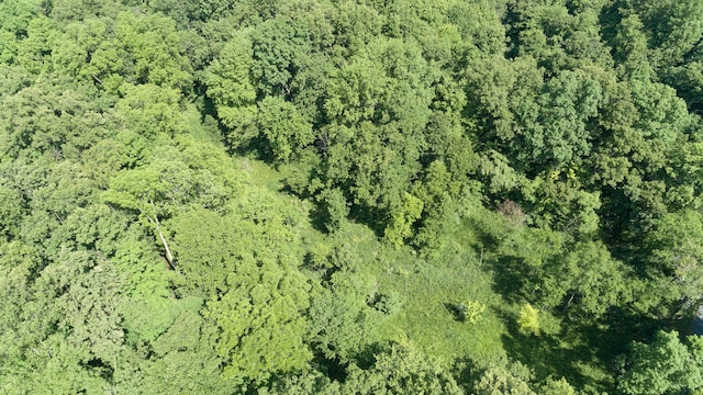 10229 N 22nd St, Plainwell, MI 49080 - aerial overview of property's location