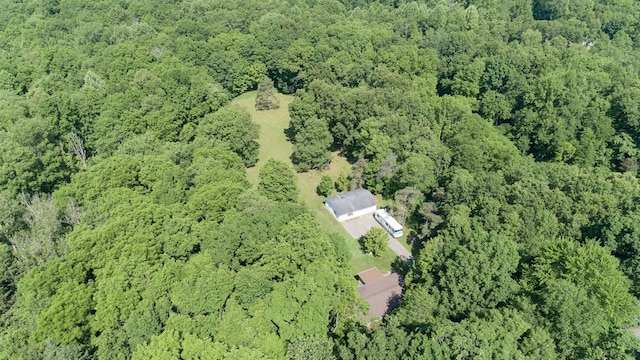 10229 N 22nd St, Plainwell, MI 49080 - aerial view of property and surrounding area with a forest