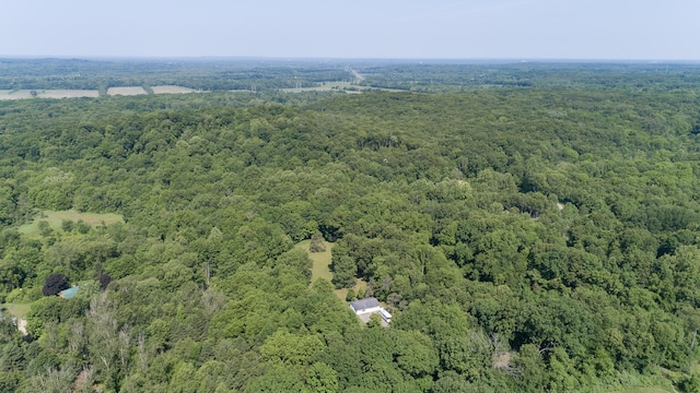 10229 N 22nd St, Plainwell, MI 49080 - aerial view of property's location featuring a forest