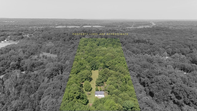 10229 N 22nd St, Plainwell, MI 49080 - aerial view of a forest