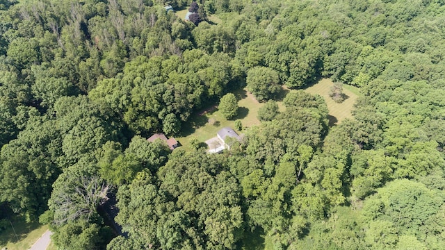 10229 N 22nd St, Plainwell, MI 49080 - view of property location featuring a heavily wooded area
