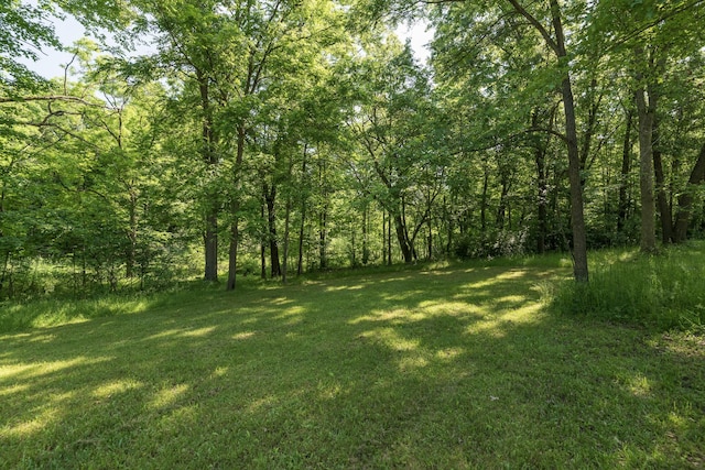 10229 N 22nd St, Plainwell, MI 49080 - view of green lawn featuring a forest view