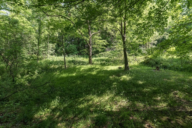 10229 N 22nd St, Plainwell, MI 49080 - view of tree filled area