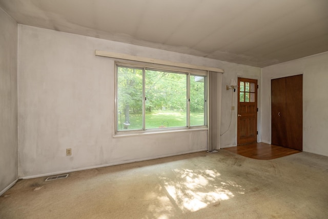10229 N 22nd St, Plainwell, MI 49080 - unfurnished room with carpet floors and plenty of natural light