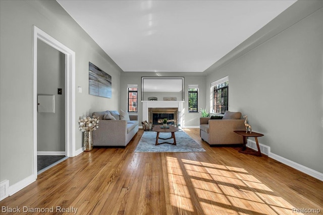 5500 Harvard Rd, Detroit, MI 48224 - living area featuring wood finished floors and a glass covered fireplace