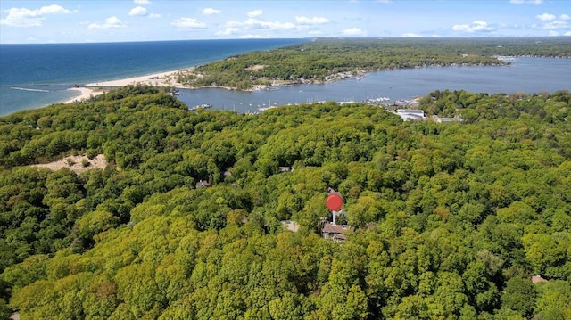 4679-4681 Forest Ridge Dr, Holland, MI 49423 - bird's eye view of a heavily wooded area and a nearby body of water