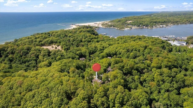 4679-4681 Forest Ridge Dr, Holland, MI 49423 - aerial view of property and surrounding area featuring a forest and a large body of water