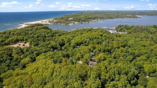 4679-4681 Forest Ridge Dr, Holland, MI 49423 - drone / aerial view of a forest and a large body of water