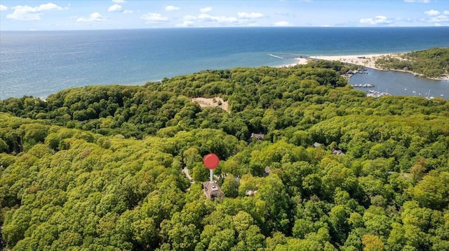 4679-4681 Forest Ridge Dr, Holland, MI 49423 - view of property location with a large body of water and a forest
