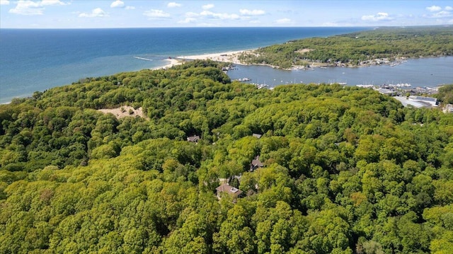 4679-4681 Forest Ridge Dr, Holland, MI 49423 - drone / aerial view of a forest and a nearby body of water