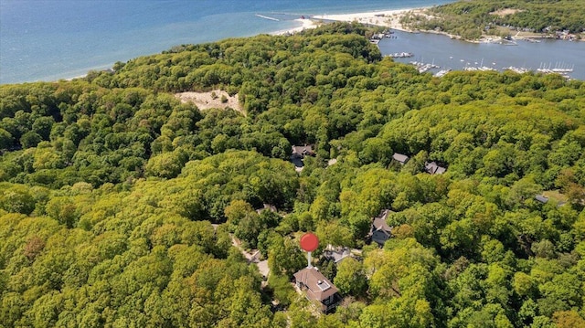 4679-4681 Forest Ridge Dr, Holland, MI 49423 - aerial overview of property's location featuring a forest and a nearby body of water