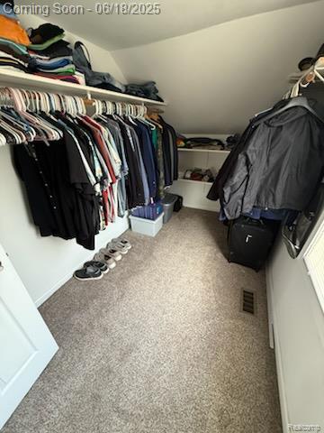 37805 Maplehill St, Harrison Township, MI 48045 - spacious closet with carpet floors