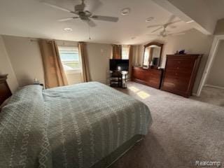 37805 Maplehill St, Harrison Township, MI 48045 - view of carpeted bedroom