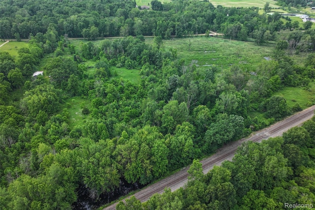 2437 E Winegar Rd, Morrice, MI 48857 - photo 8