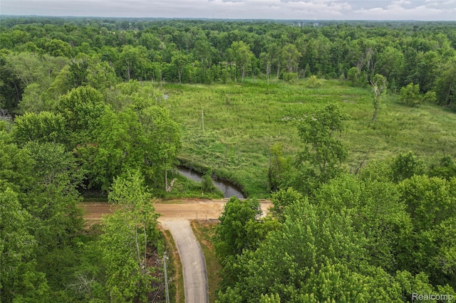 2437 E Winegar Rd, Morrice, MI 48857 - photo 16