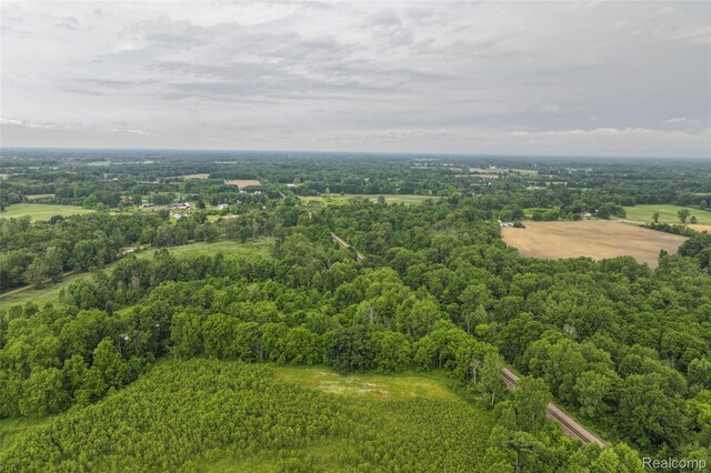 2437 E Winegar Rd, Morrice, MI 48857 - photo 5