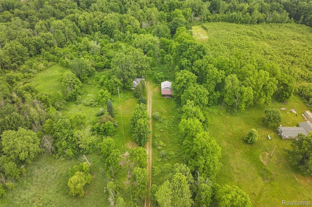2437 E Winegar Rd, Morrice, MI 48857 - photo 13