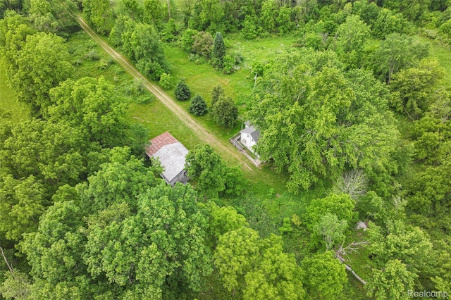 2437 E Winegar Rd, Morrice, MI 48857 - photo 15