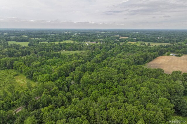 2437 E Winegar Rd, Morrice, MI 48857 - photo 6