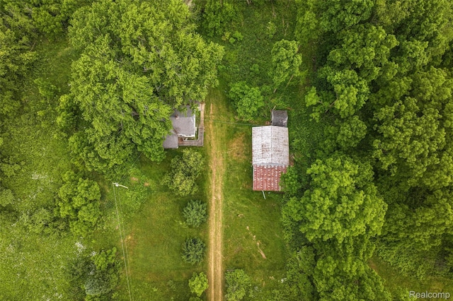 2437 E Winegar Rd, Morrice, MI 48857 - photo 14