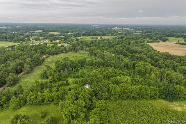 2437 E Winegar Rd, Morrice, MI 48857 - photo 4