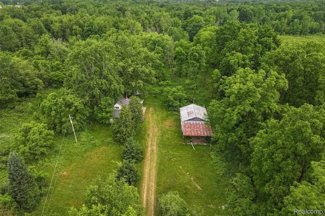 2437 E Winegar Rd, Morrice, MI 48857 - photo 12