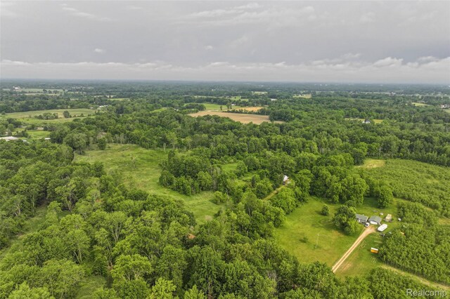 2437 E Winegar Rd, Morrice, MI 48857 - photo 3