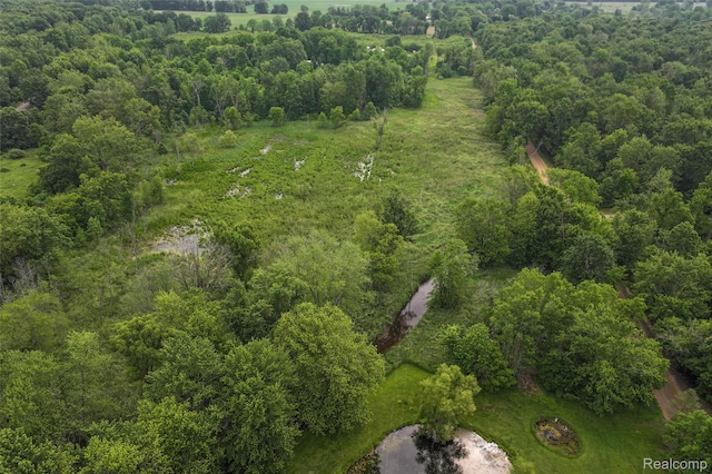 2437 E Winegar Rd, Morrice, MI 48857 - photo 11