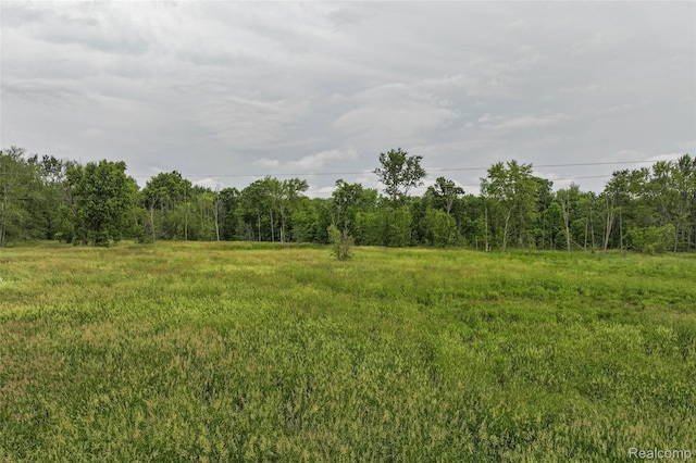 2437 E Winegar Rd, Morrice, MI 48857 - photo 19