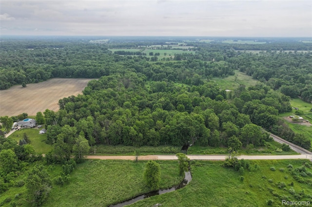 2437 E Winegar Rd, Morrice, MI 48857 - photo 10