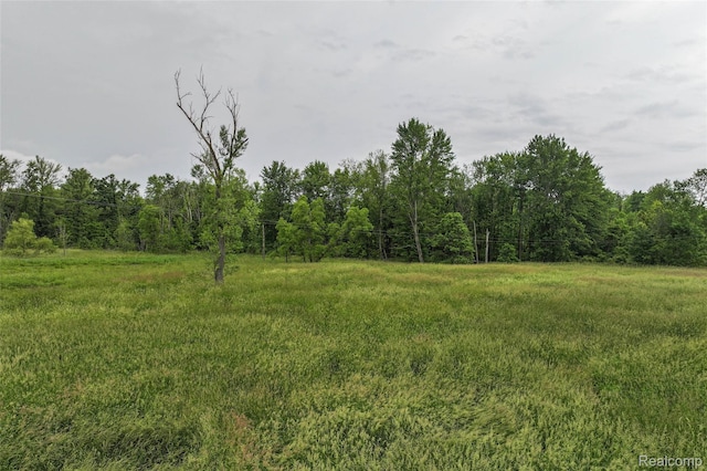 2437 E Winegar Rd, Morrice, MI 48857 - photo 18