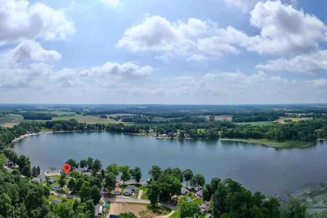 17295 Stevens Forest Lake St, Cassopolis, MI 49031 - drone / aerial view of a nearby body of water