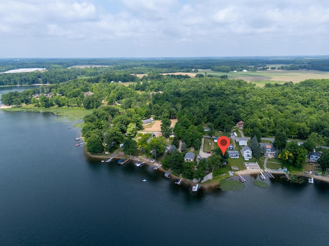 17295 Stevens Forest Lake St, Cassopolis, MI 49031 - aerial view of property's location with a nearby body of water
