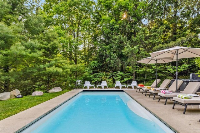 16128 Walnut Ct, Three Oaks, MI 49128 - outdoor pool featuring a patio and view of wooded area