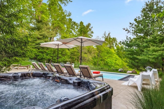 16128 Walnut Ct, Three Oaks, MI 49128 - outdoor pool featuring a hot tub, a patio, and view of scattered trees