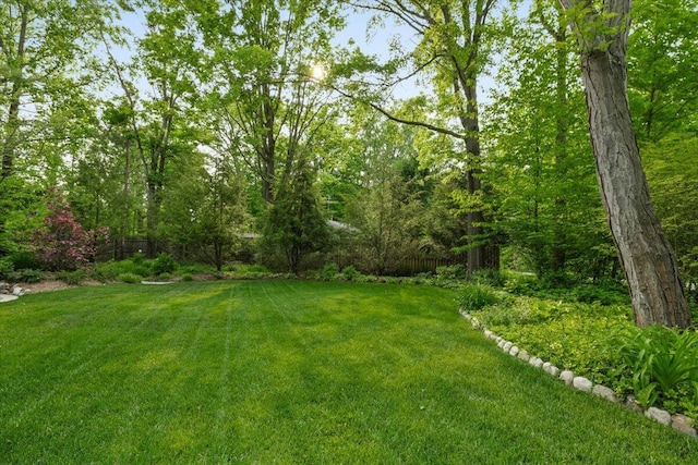 16128 Walnut Ct, Three Oaks, MI 49128 - view of yard
