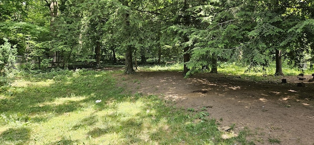 219 Walnut Woods Ct, Plainwell, MI 49080 - view of undeveloped land
