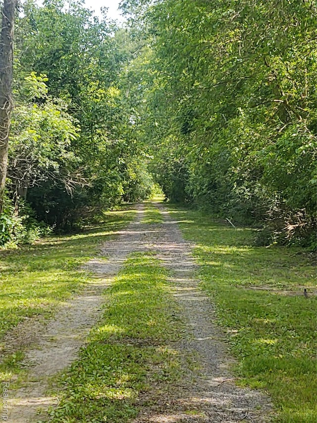 8996 Main St, Whitmore Lake, MI 48189 - view of road with a forest view