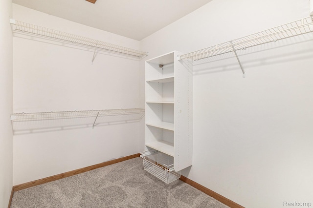 6144 Northridge Hills Dr, Brighton, MI 48116 - walk in closet with carpet