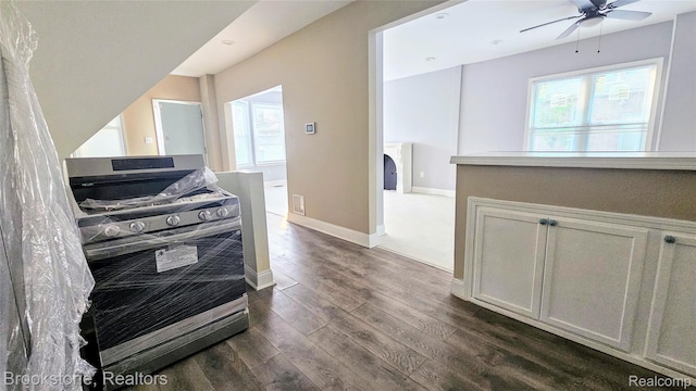 2520 Seyburn St, Detroit, MI 48214 - kitchen featuring ceiling fan, dark wood-type flooring, plenty of natural light, and arched walkways