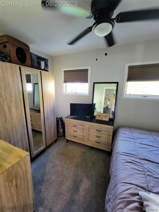 11329 E Shore Dr, Whitmore Lake, MI 48189 - bedroom with multiple windows, dark colored carpet, and a ceiling fan