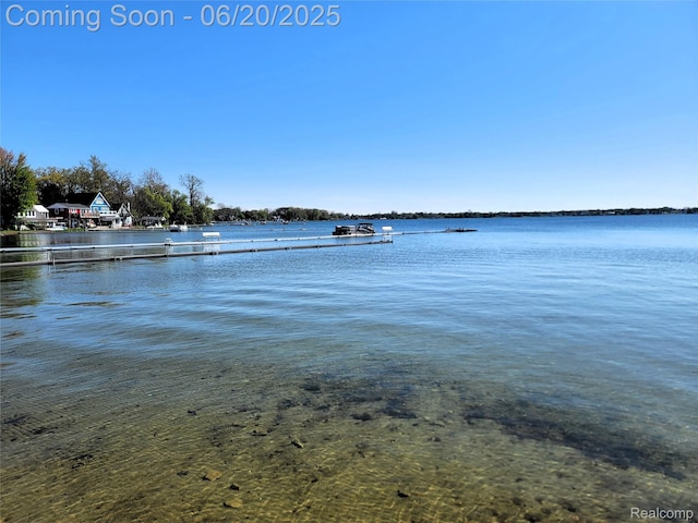 11329 E Shore Dr, Whitmore Lake, MI 48189 - water view