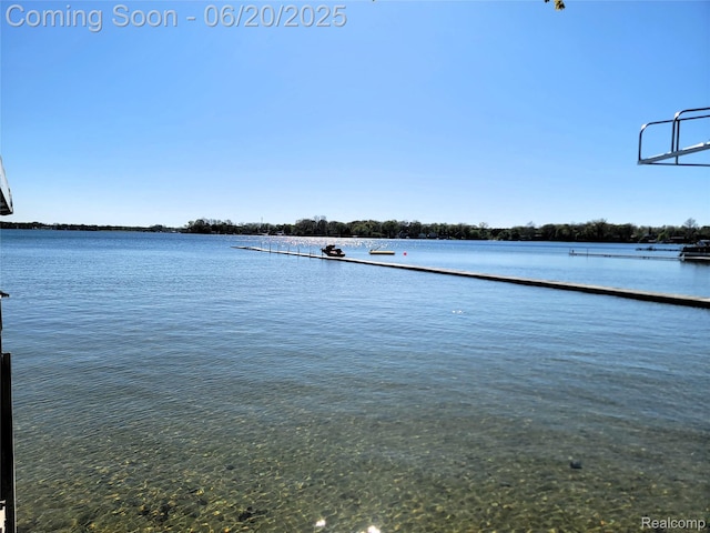 11329 E Shore Dr, Whitmore Lake, MI 48189 - water view