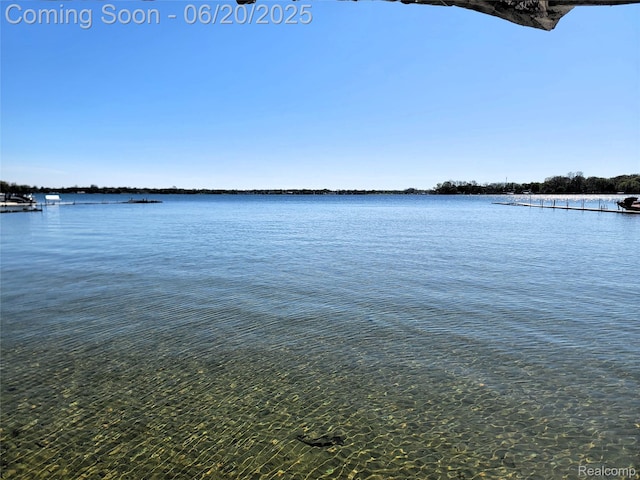 11329 E Shore Dr, Whitmore Lake, MI 48189 - water view